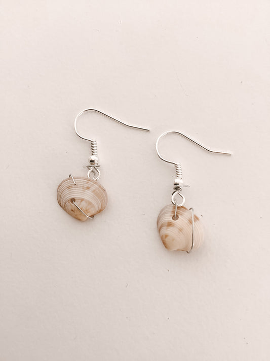 Tiny Shell Earrings