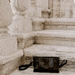 Within Leather Bag Set