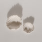 Shell Dish 02