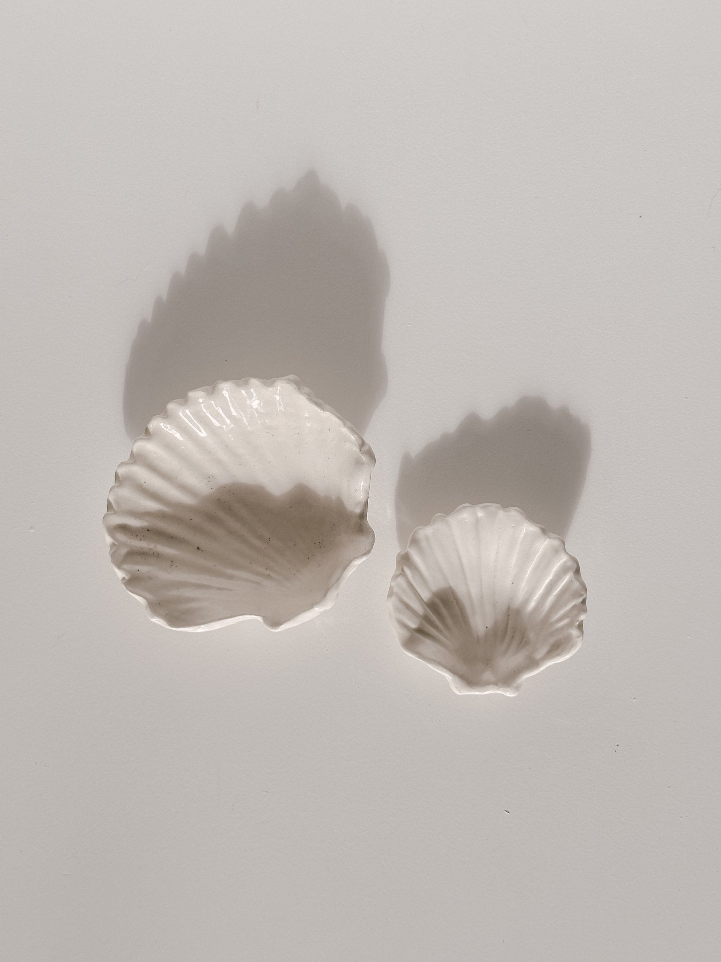Shell Dish 02