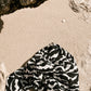 Clam Shell Sarong