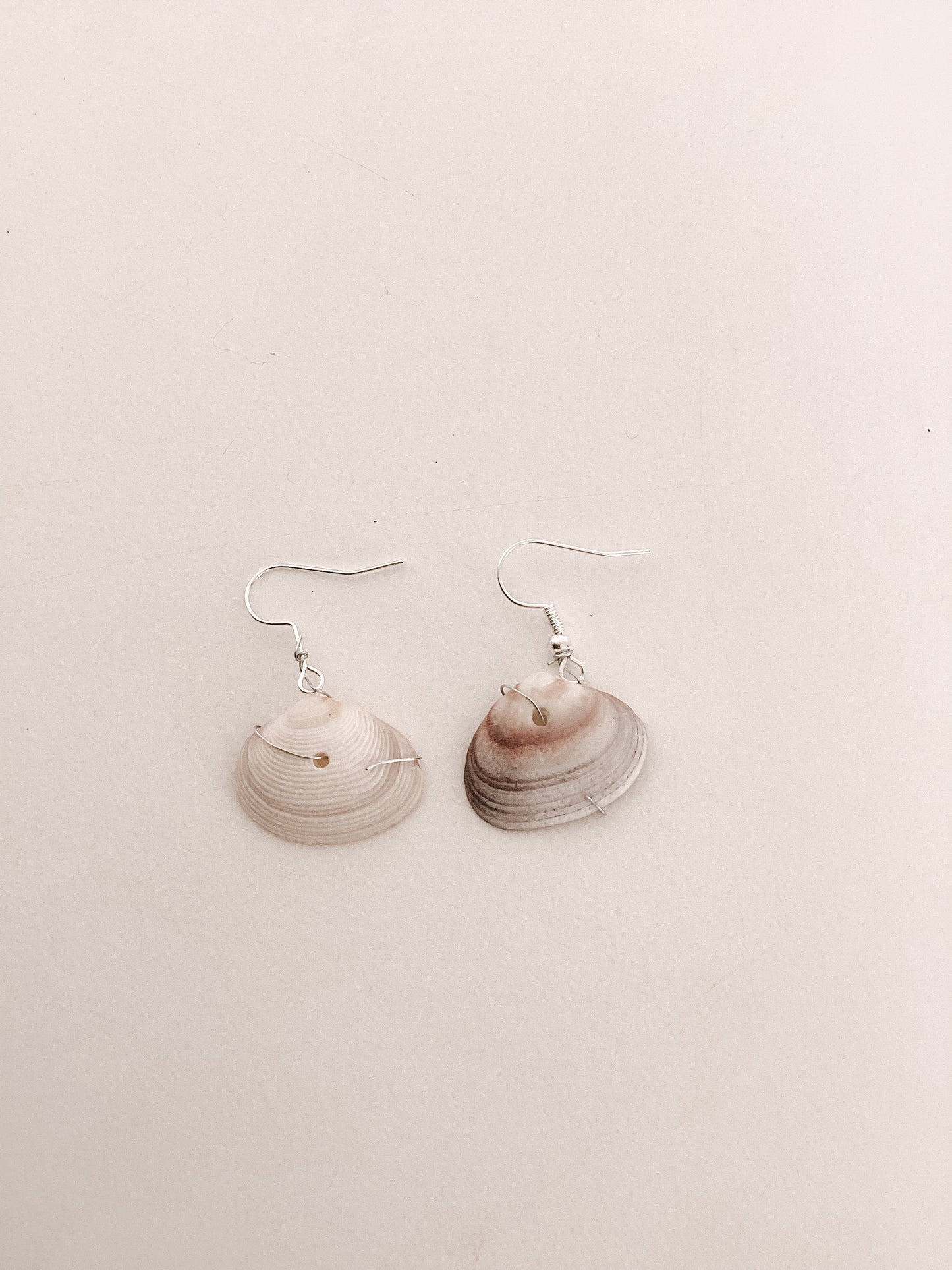 Tiny clam Shell Earrings
