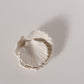 Shell Dish 02