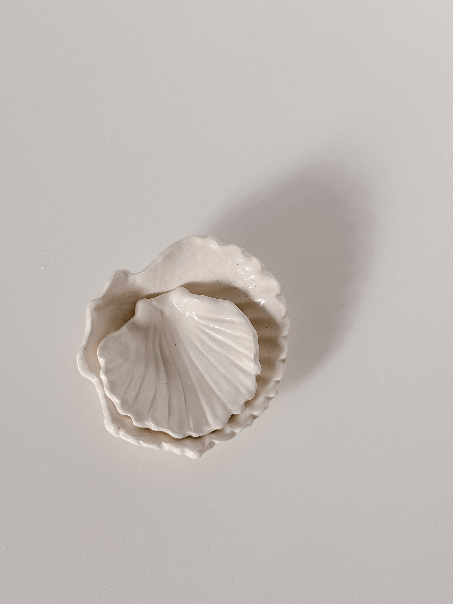Shell Dish 02