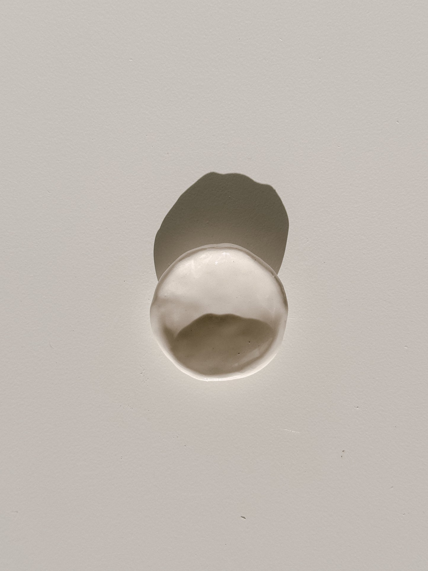 Remnant Dish 02