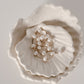 Shell Dish 02